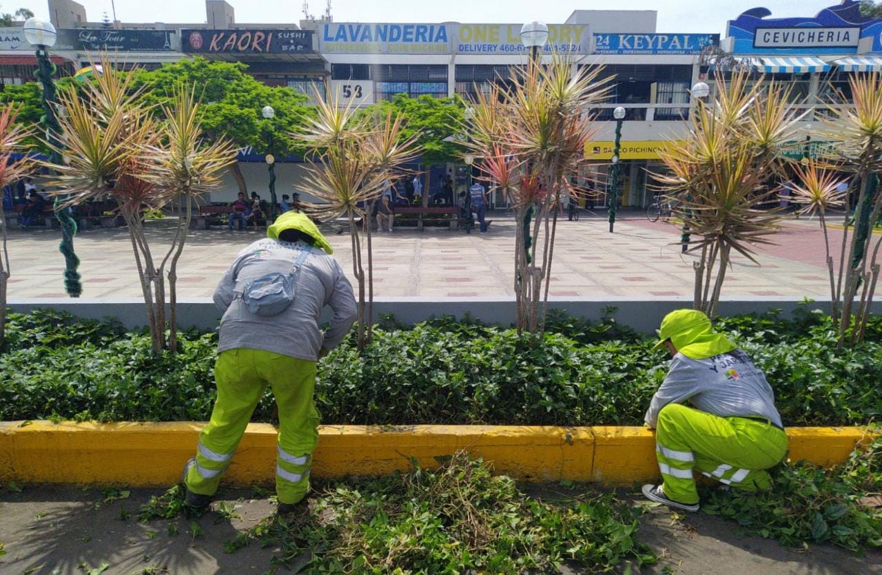 Mantenimiento y recuperación de áreas verdes en los alrededores de la Residencial San Felipe